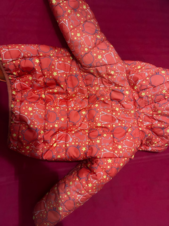 Kapüşonlu, Fermuarlı Kız/erkek Bebek Kış mont - Görsel 2