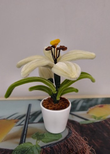 Beyaz Saksıda Renkli Dekoratif Çiçek - Görsel 3