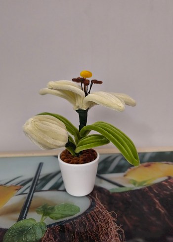 Beyaz Saksıda Renkli Dekoratif Çiçek - Görsel 2