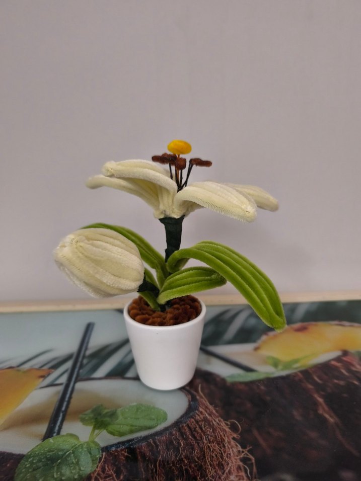 Beyaz Saksıda Renkli Dekoratif Çiçek - Görsel 2