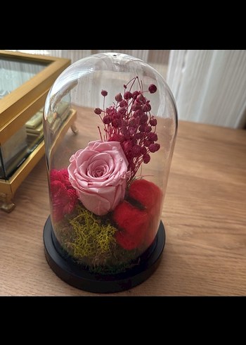 Cam Fanus İçinde Solmayan Pembe Gül ve Renkli Dekoratif Çiçekler