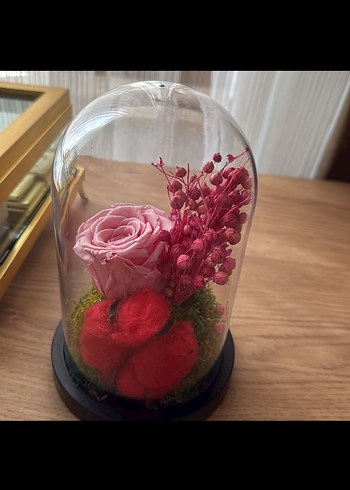 Diğer Cam Fanus İçinde Solmayan Pembe Gül ve Renkli Dekoratif Çiçekler