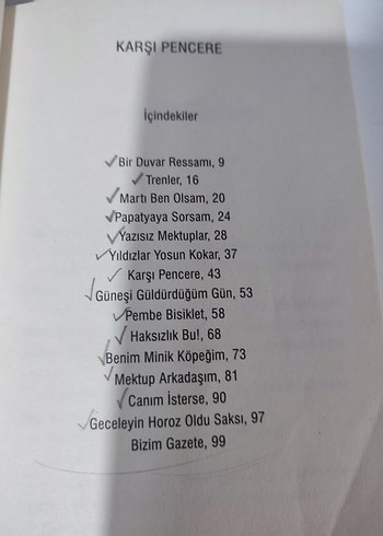 Karşı Pencere - Sevim Ak - Görsel 4