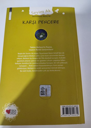 Karşı Pencere - Sevim Ak - Görsel 2