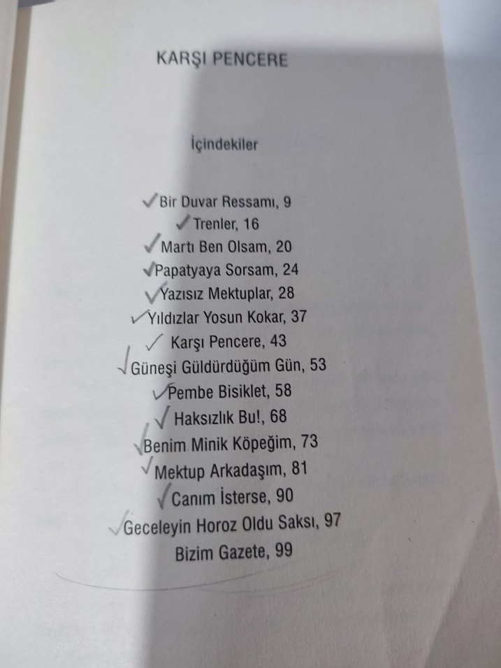 Karşı Pencere - Sevim Ak - Görsel 4