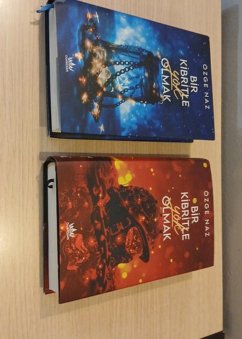 Bir kibritle yok olmak serisi