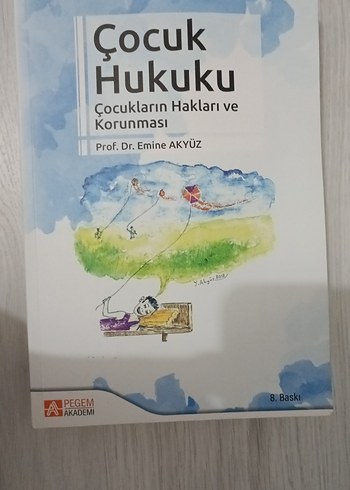 Çocuk Hukuku: Haklar ve Koruma Kitabı