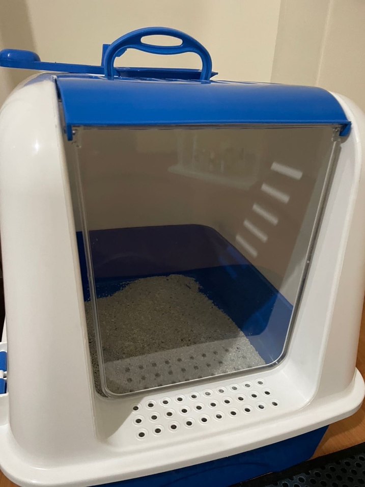 Mavi Kapalı Kedi Tuvalet Kabı ve Taşıma Kutusu - Görsel 2