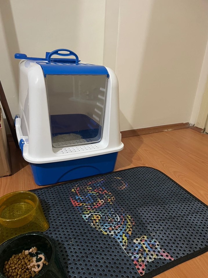 Mavi Kapalı Kedi Tuvalet Kabı ve Taşıma Kutusu - Görsel 4