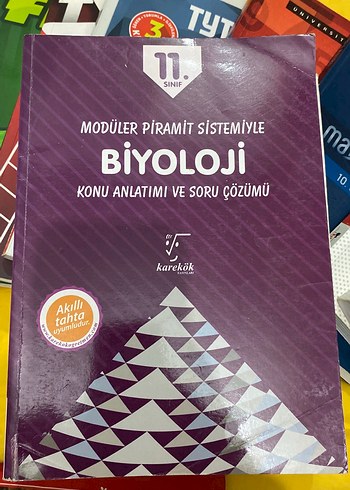 İndirimli toplu yks kitapları