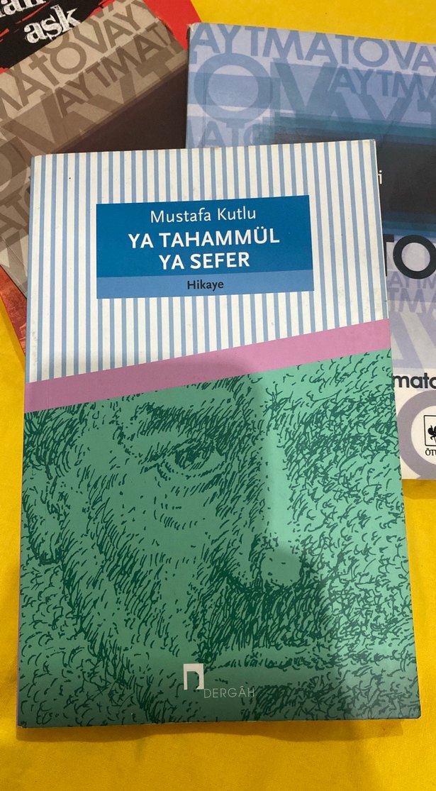 Toprak Ana - Beyaz Gemi Ya Tahammül Ya sefer Kitapları - Görsel 2