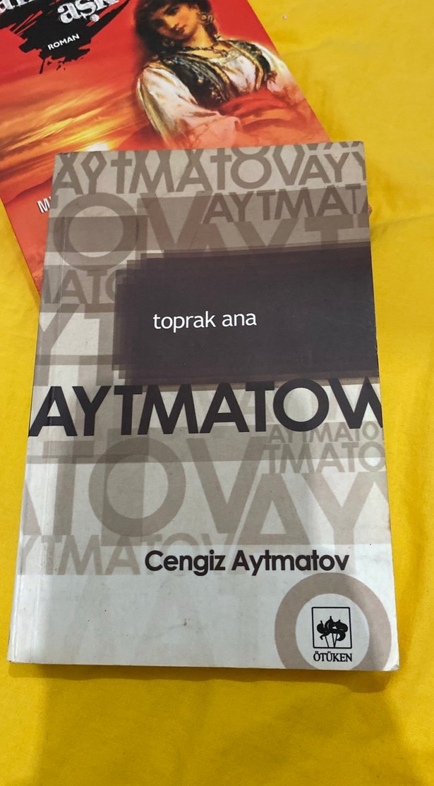 Toprak Ana - Beyaz Gemi Ya Tahammül Ya sefer Kitapları - Görsel 4