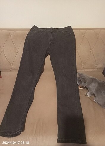 Levis Levi's jean