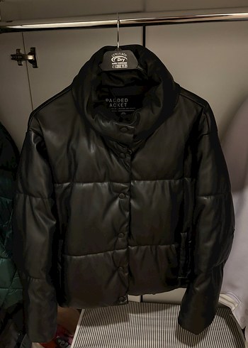Stradivarius mont
