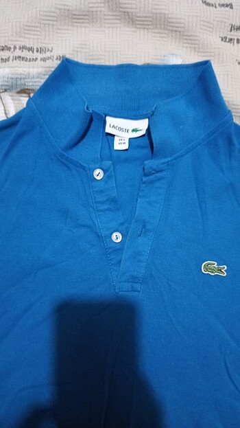 Lacoste erkek t-shirt