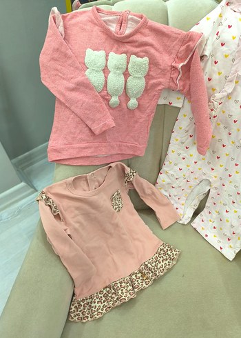 Tiffany Tomato 1,5 Yaş