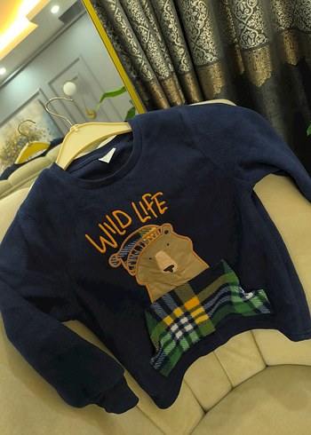 Erkek Çocuk Renkli Baskılı Sweatshirt Polar - Görsel 6