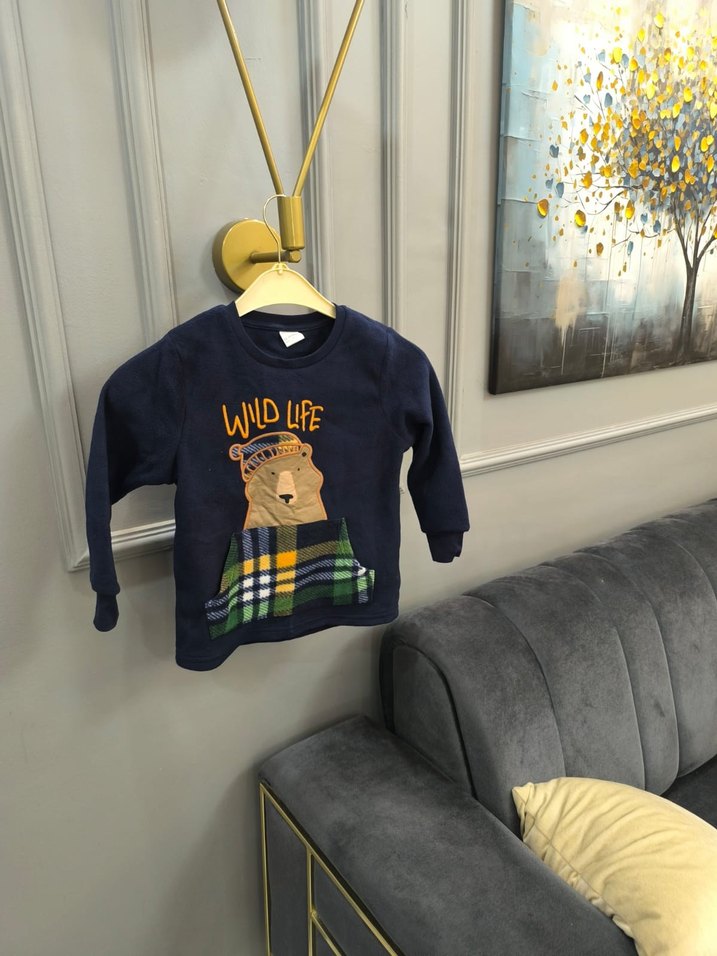 Erkek Çocuk Renkli Baskılı Sweatshirt Polar - Görsel 2