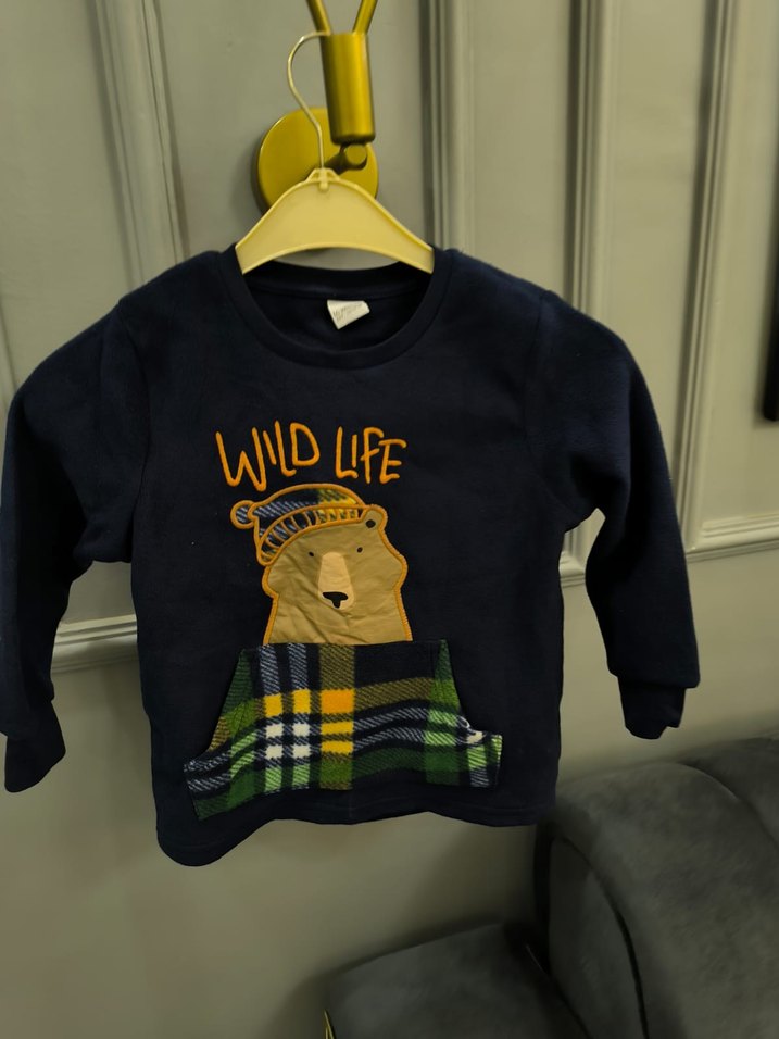 Erkek Çocuk Renkli Baskılı Sweatshirt Polar - Görsel 4