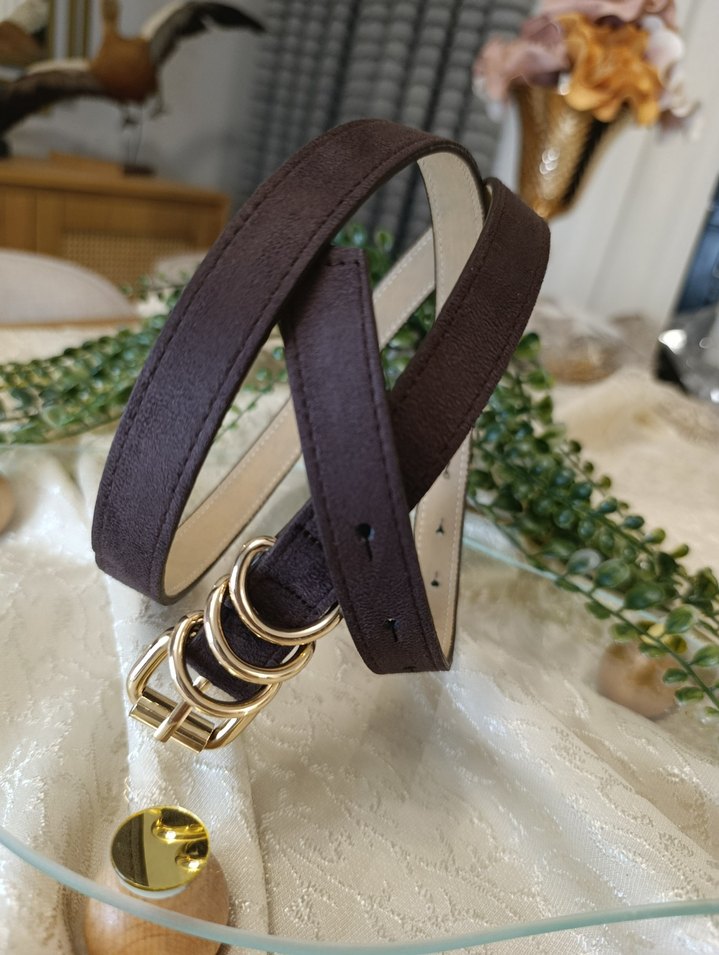 4 farklı renk Süet Altın Tokalı Kadın Kemer - Görsel 4