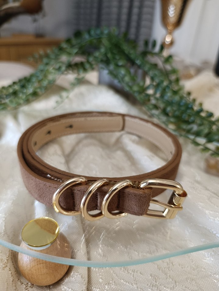 4 farklı renk Süet Altın Tokalı Kadın Kemer - Görsel 3