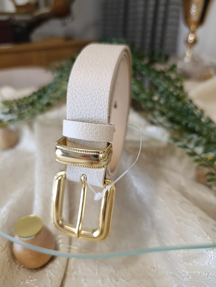 7 farklı renk Parlak Deri Kadın Kemer - Görsel 4