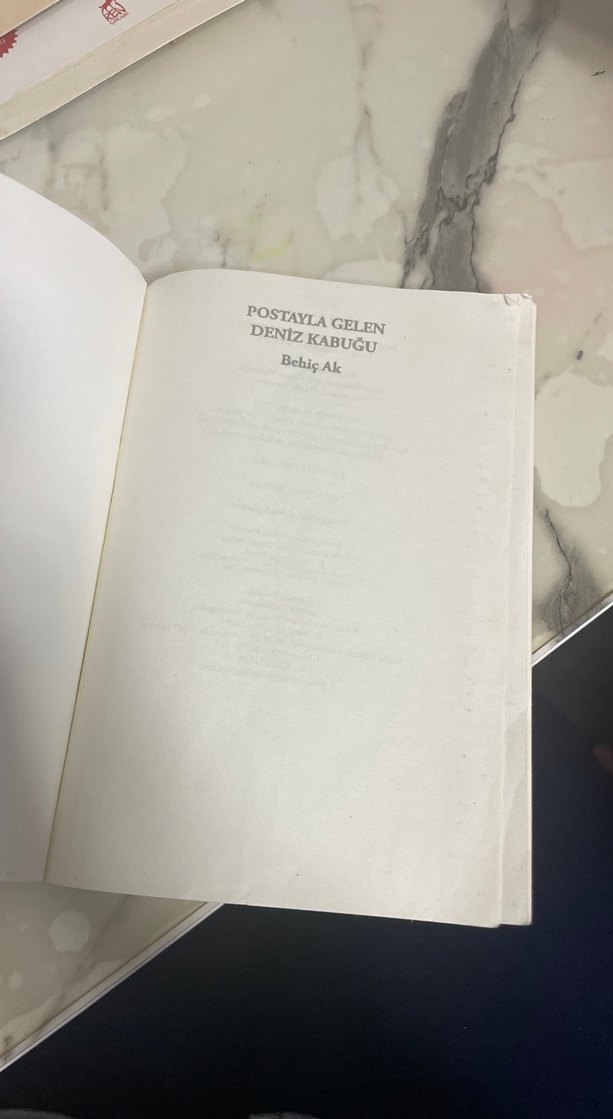 Postayla Gelen Deniz Kabuğu - Behiç Ak - Görsel 2