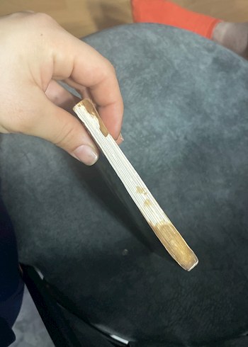 Zerdali Dedemle Bir Yıl - Yaşar Bayraktar - Görsel 4