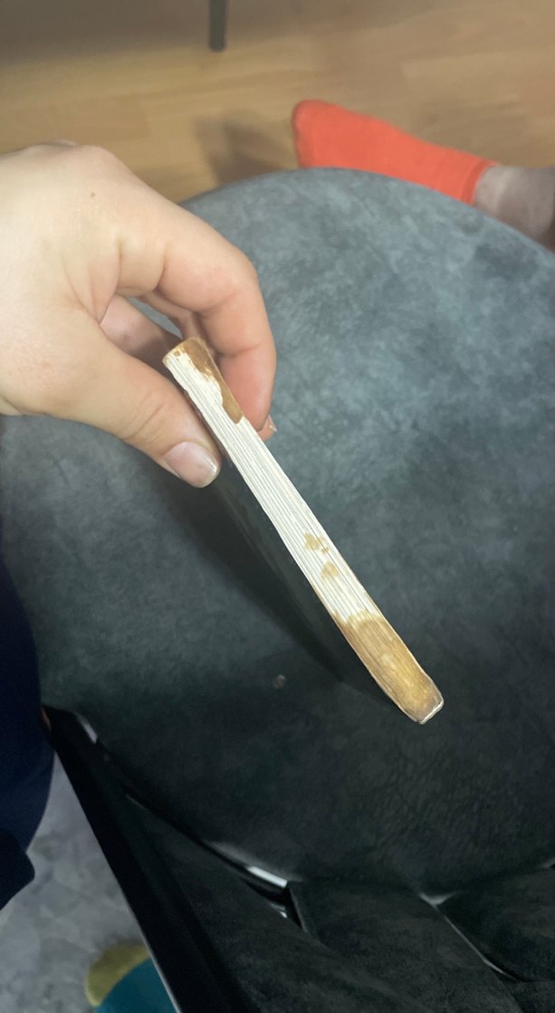 Zerdali Dedemle Bir Yıl - Yaşar Bayraktar - Görsel 4