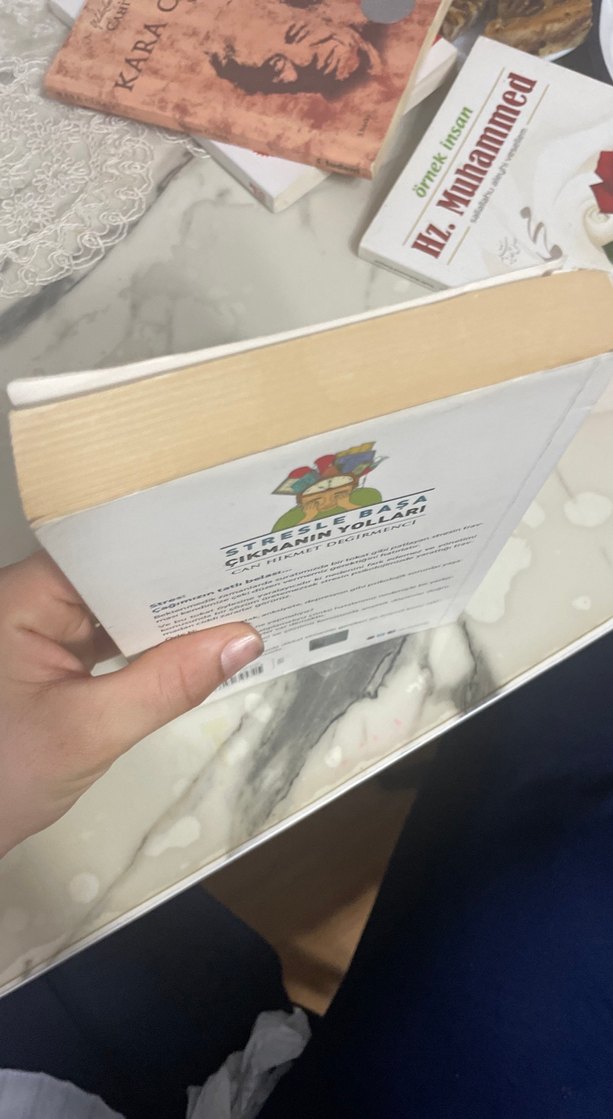 Stresle Başa Çıkmanın Yolları - Can Hikmet Değirmenci - Görsel 4