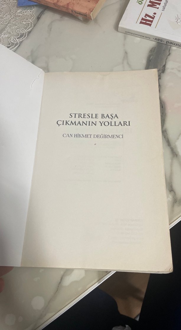 Stresle Başa Çıkmanın Yolları - Can Hikmet Değirmenci - Görsel 2