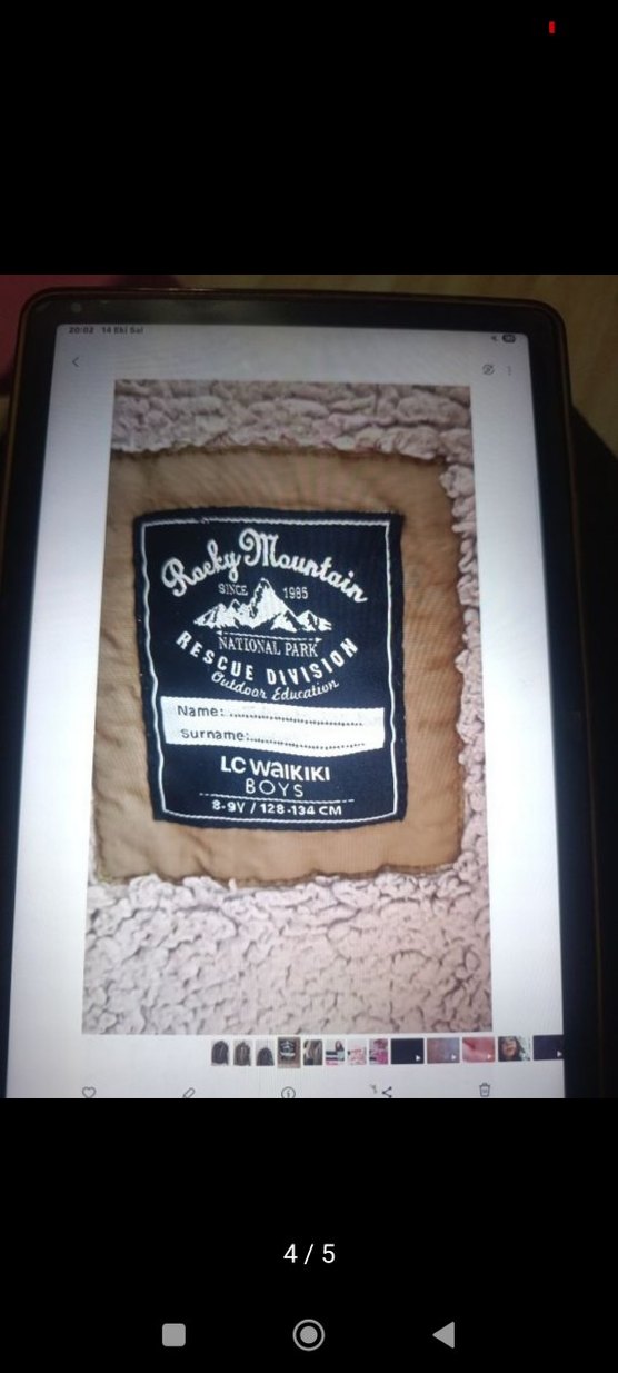 Erkek Çocuk Gri Kapüşonlu Düğmeli Kaban - Görsel 5