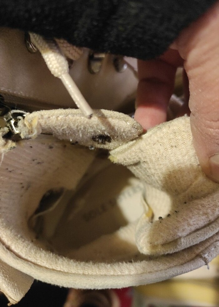 Bot bayan - Görsel 5