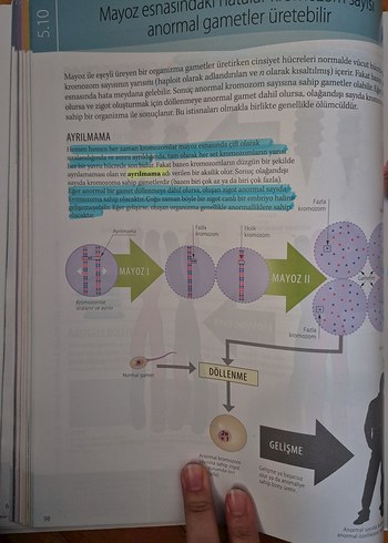 Biyoloji Öz - Eric J. Simon - Görsel 4