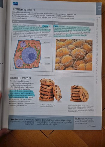 Biyoloji Öz - Eric J. Simon - Görsel 2