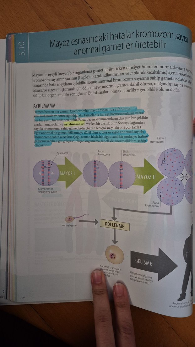 Biyoloji Öz - Eric J. Simon - Görsel 4