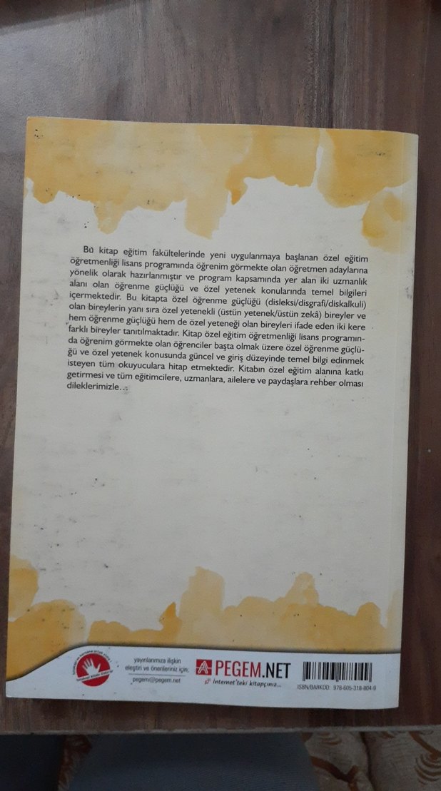 Öğrenme Güçlüğü ve Özel Yetenek Kitabı - Görsel 2