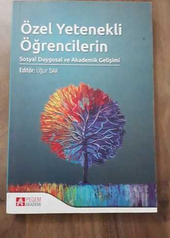 Özel Yetenekli Öğrencilerin Sosyal Duygusal Akademik Gelişimi