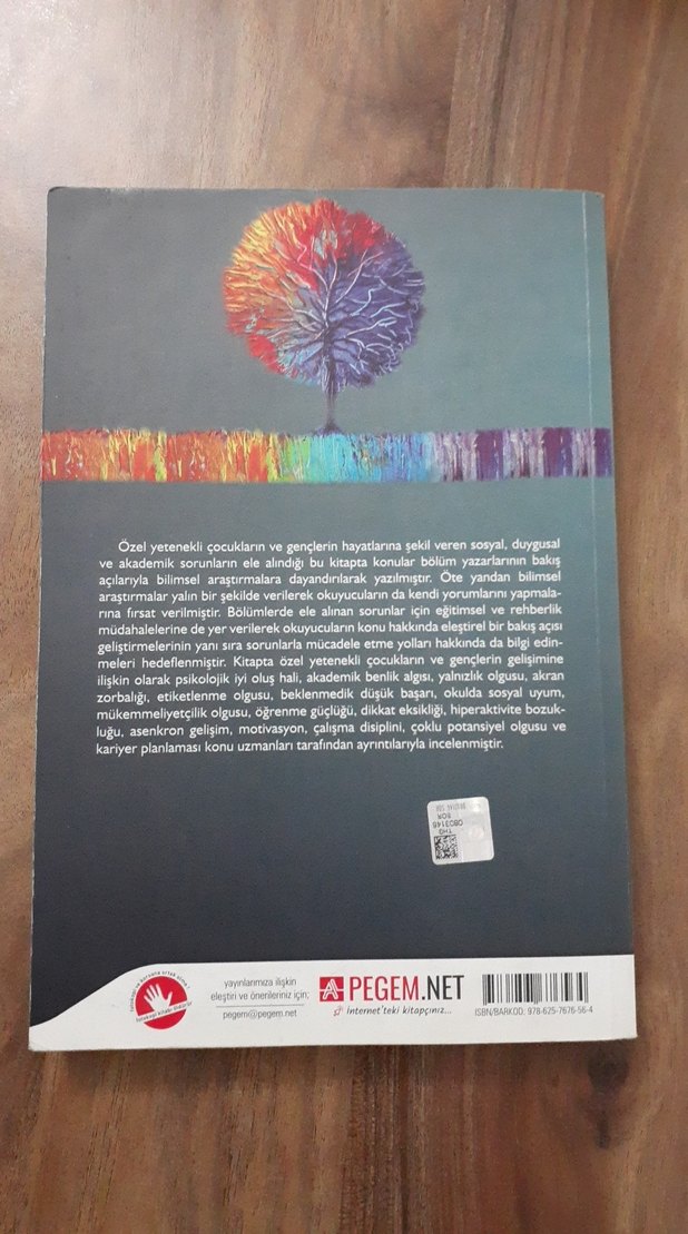 Özel Yetenekli Öğrencilerin Sosyal Duygusal Akademik Gelişimi - Görsel 2