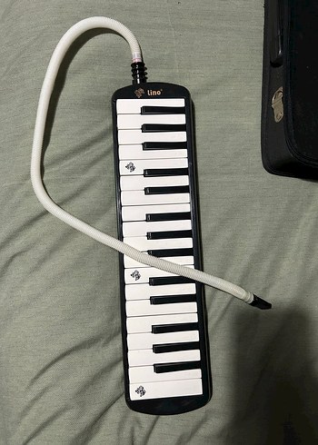 32K lino melodika - Görsel 6