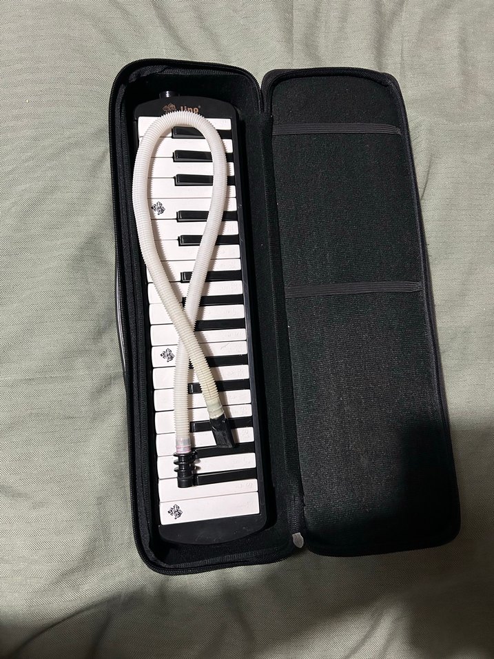 32K lino melodika - Görsel 2