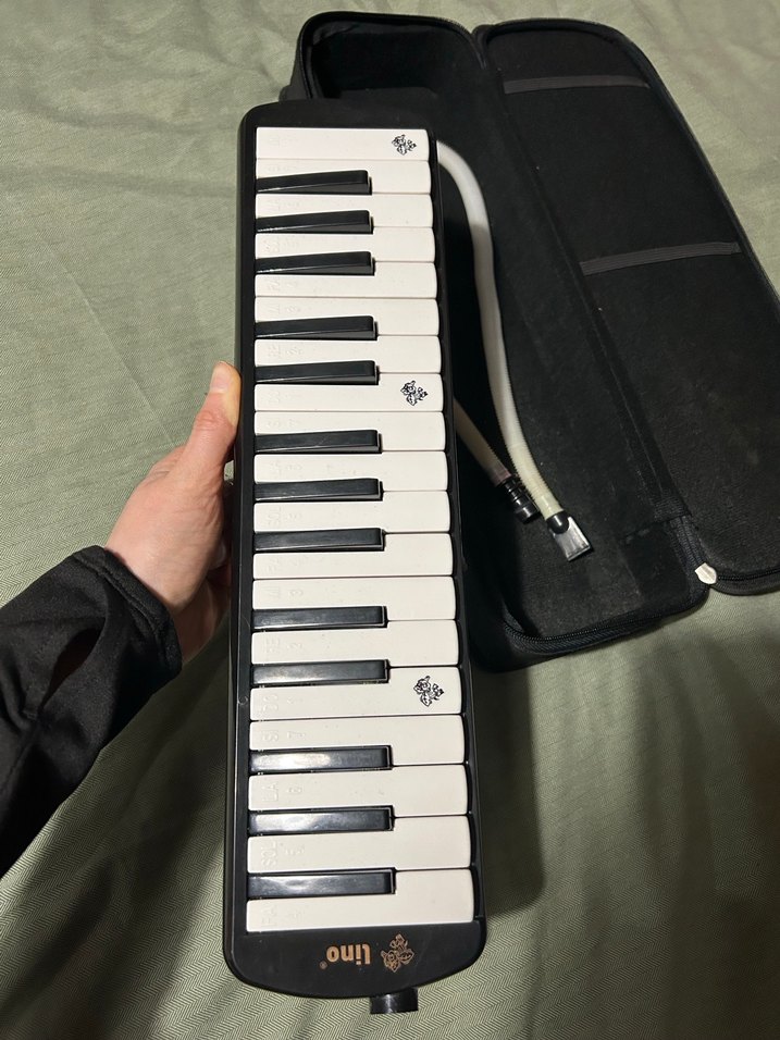 32K lino melodika - Görsel 3