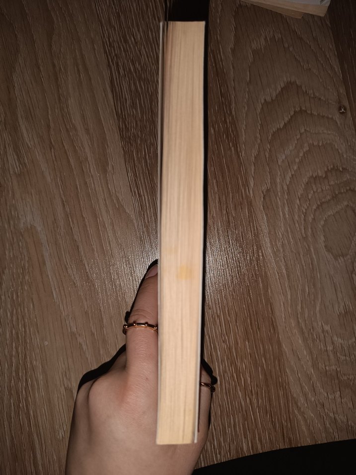 Robin Hood Hikaye Kitabı - Howard Pyle - Görsel 4