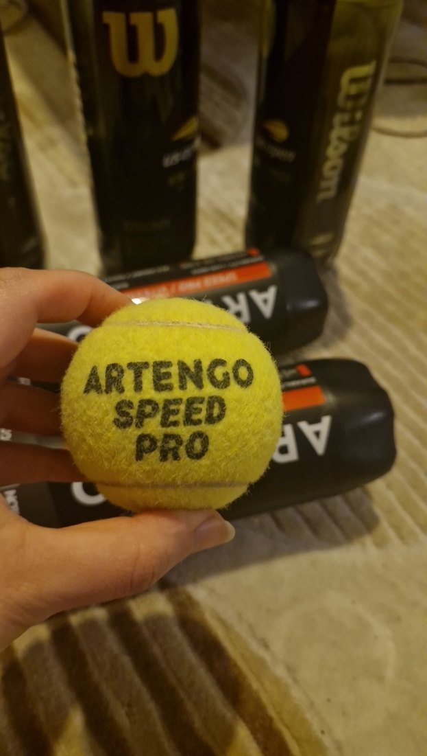 Artengo Speed Pro ve Wilson Tenis Topları 15 adet - Görsel 2