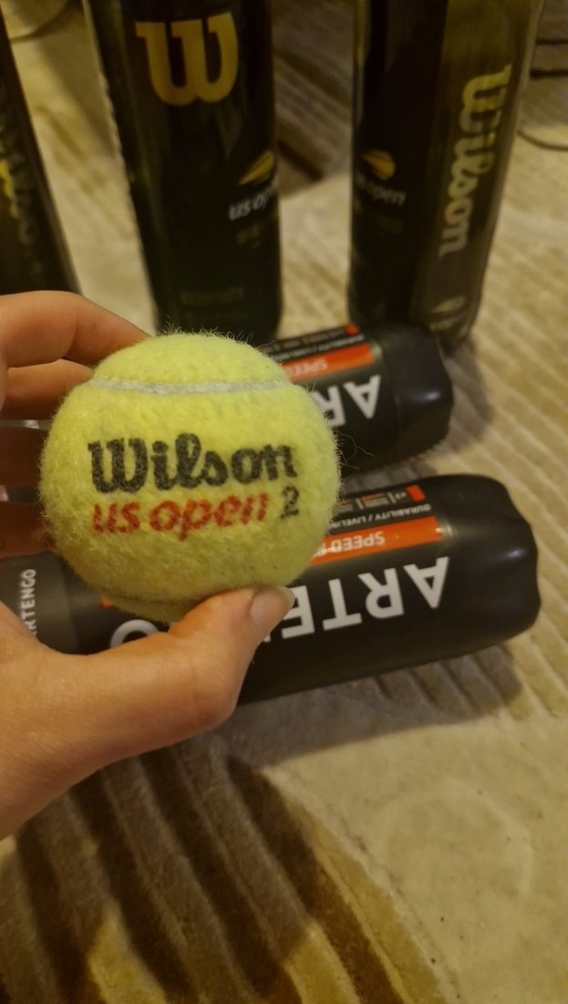Artengo Speed Pro ve Wilson Tenis Topları 15 adet - Görsel 3