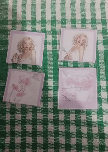 pvc kaplama rose sticker