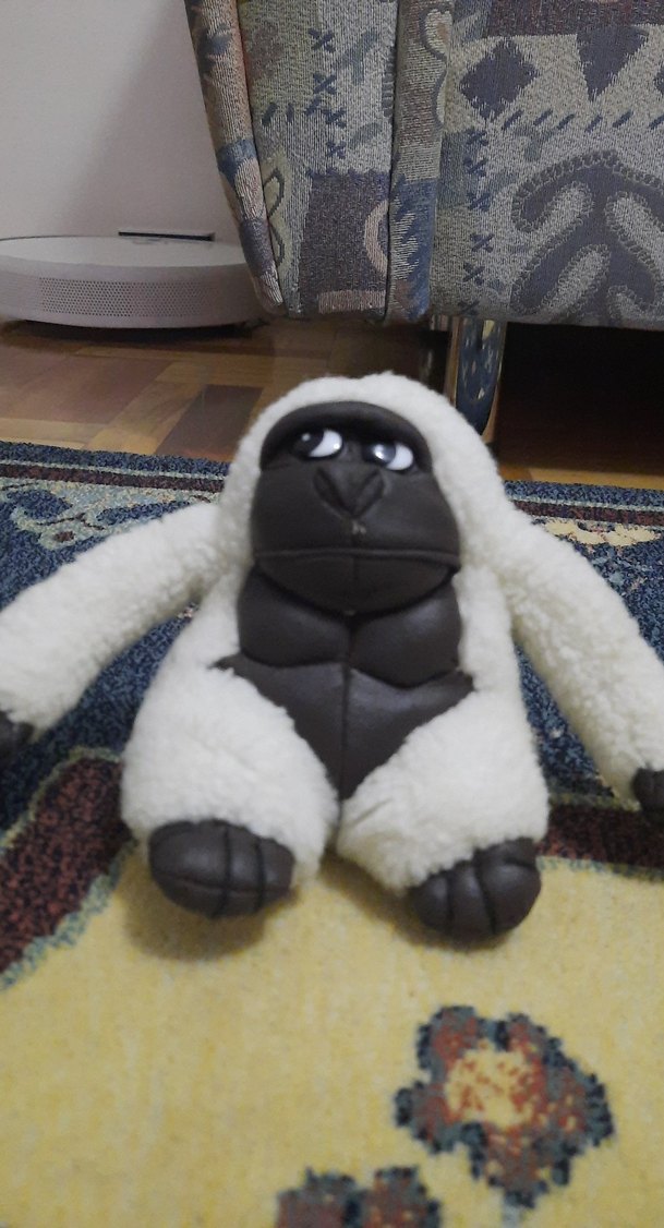 Renkli Çoklu Peluş Oyuncak Seti - Görsel 5