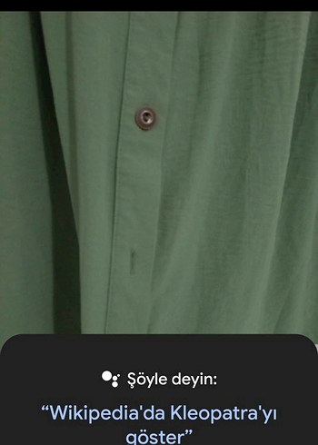 Uzun Kollu Yeşil Fırfırlı gömlek - Görsel 4