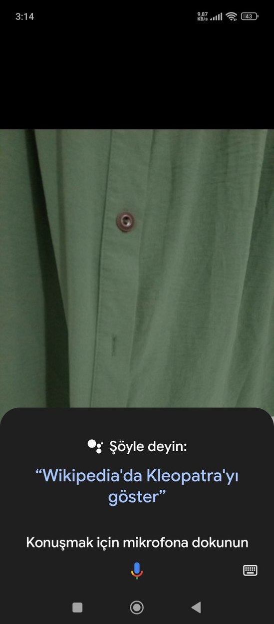 Uzun Kollu Yeşil Fırfırlı gömlek - Görsel 4