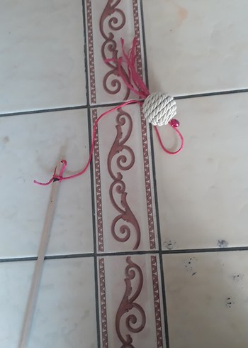 kedi oltası